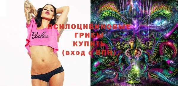 соль курить ск Михайлов