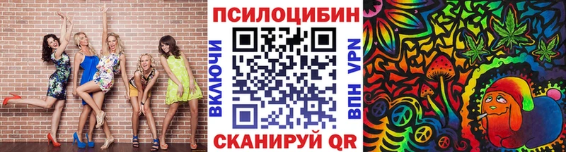 Галлюциногенные грибы Cubensis  Новое Девяткино 